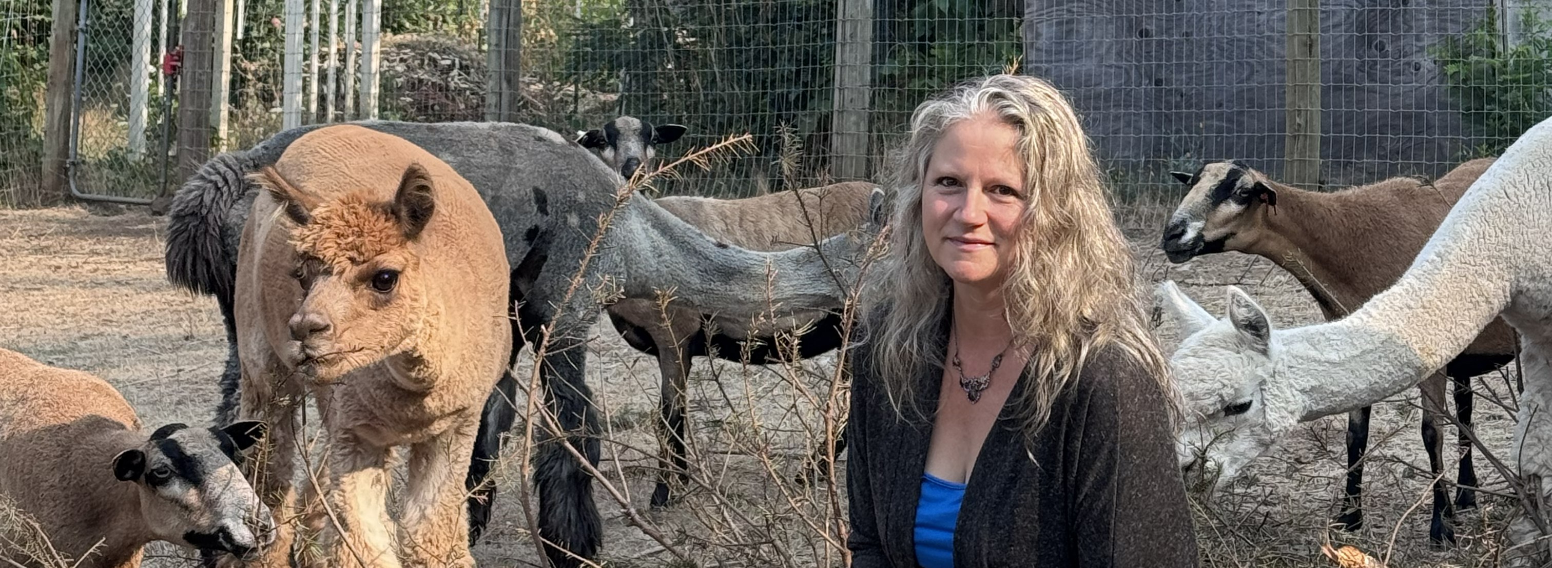 Caroline Devin with the alpaca and sheep herd at Leaning Tree Farm